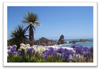 West coast South Island West coast South Island