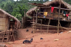 Hill tribe village, golden triangle